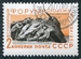 N°2437-1961-RUSSIE-JEUNES POUSSANT UN CHAR DANS LA MER-2K 