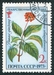 N°3964-1973-RUSSIE-FLEURS-PANAX GINSENG-2K 