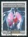 N°2446-2000-ITALIE-18E CONGRES DE TRANSPLANTATIONS-1000L 