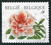 N°2733-1997-BELGIQUE-FLEUR-RHODODENDRON SIMSII 