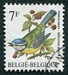 N°2261-1987-BELGIQUE-OISEAUX-MESANGE BLEUE-7F 