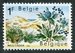 N°1409-1967-BELGIQUE-RESERVE DES DUNES DE L'OUEST-1F 