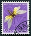N°0556-1954-SUISSE-ASCALAPHE BARIOLE-30C+10C 