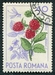N°2086-1964-ROUMANIE-FRUITS-FRAMBOISES-40B 
