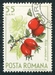 N°2087-1964-ROUMANIE-FRUITS-EGLANTINES-55B 