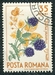 N°2085-1964-ROUMANIE-FRUITS-MURES-35B 