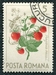 N°2084-1964-ROUMANIE-FRUITS-FRISES DES BOIS-5B 