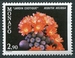 N°1256-1980-MONACO-FAUNE-PTEROIDES 