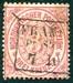 N°20-1869-ALLEMNORD-3K-ROSE CARMINE 