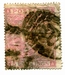 N°0040-1867-GB-REINE VICTORIA-5S-ROSE 