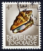 N°65-1964-TOGO REP-COQUILLAGES-STROMBUS LATUS-4F