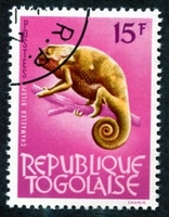 N°0399A-1964-TOGO REP-FAUNE-CAMELEON-15F