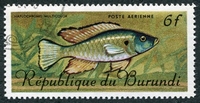 N°062-1967-BURUNDI-POISSON- HAPLOCHROMIS-6F