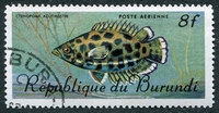N°063-1967-BURUNDI-POISSON-CTENOPLOMA-8F