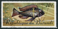 N°067-1967-BURUNDI-POISSON-TROPHEUS DUBOISI-20F