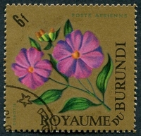 N°025-1966-BURUNDI-FLEURS-DISSOTIS-6F