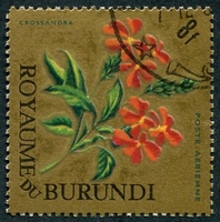 N°026-1966-BURUNDI-FLEURS-CROSSANDRA-8F