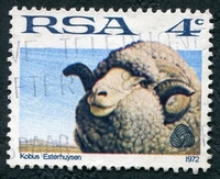 N°0335-1972-AFRIQUE SUD-ANIMAUX-MERINOS-4C