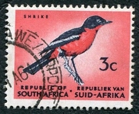 N°0268-1962-AFRIQUE SUD-OISEAUX-LANIER A GORGE ROUGE-3C