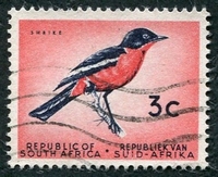 N°0253-1961-AFRIQUE SUD-OISEAUX-LANIER A GORGE ROUGE-3C