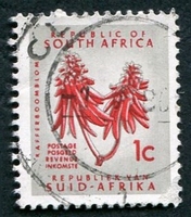 N°0249A-1961-AFRIQUE SUD-FLEUR DE KAFFERBOOM-1C