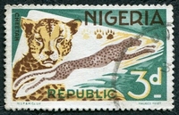 N°181-1965-NIGERIA-FAUNE-LEOPARDS-3P