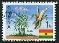 N°0278-1967-GHANA-CEREALE-MAIS-1NP