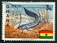 N°0282-1967-GHANA-POISSON-3NP