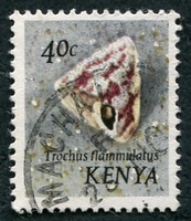 N°039-1971-KENYA-COQUILLAGE-TROCHUS FLAMMULATUS-40C