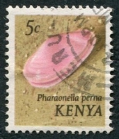 N°034-1971-KENYA-COQUILLAGE-PHARAONELLA VERNA-5C