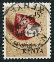 N°036-1971-KENYA-COQUILLAGE-CLANCULUS PUNICEUS-15C