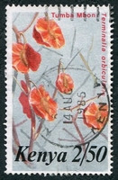 N°250-1983-KENYA-FLEUR-TERMILIA ORBICULARIS-2S50