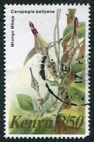 N°251-1983-KENYA-FLEUR-CEROPEGIA BALLYANA-3S50