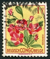 N°310-1952-CONGO BE-FLEURS-HIBISCUS-1F