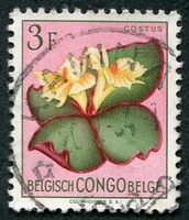 N°314-1952-CONGO BE-FLEURS-COSTUS-3F