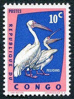 N°481-1963-CONGO-OISEAUX-PELICANS-10C