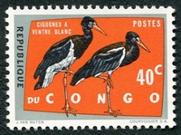 N°484-1963-CONGO-OISEAUX-CIGOGNES VENTRE BLANC-40C