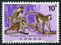 N°785-1971-CONGOK-SINGES-CERCOPITHECUS-10S