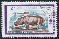 N°0321-1972-CONGOBR-FAUNE-HIPPOPOTAME-4F