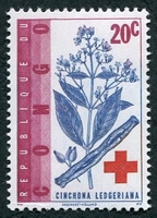 N°496-1963-CONGOK-PLANTES-CINCHONA-20C