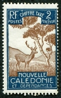 N°026-1928-NOUVELLE CALEDONIE-CERF ET NIAOULI-2C