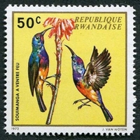 N°0466-1972-RWANDA-OISEAU-SOUIMANGA A VENTRE FEU-50C