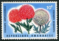 N°0148-1966-RWANDA-FLEUR-ECHINOPS AMPLEXICAULIS-10C