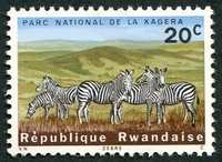 N°0099-1965-RWANDA-FAUNE-ZEBRES-20C