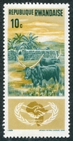 N°0118-1965-RWANDA-FAUNE-ZEBUS ET VILLAGE-10C