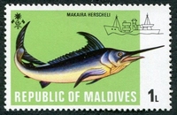 N°0411-1973-MALDIVES-POISSON-MAKAIRA HERSHELI-1L