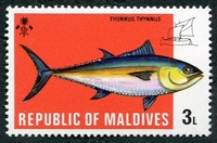 N°0413-1973-MALDIVES-POISSON-THUNNUS THYNNUS-3L