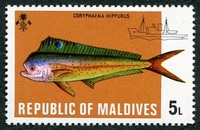 N°0414-1973-MALDIVES-POISSON-CORYPHAENA HIPPURUS-5L