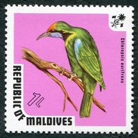 N°0429-1973-MALDIVES-FAUNE-OISEAU-CHLOROPSIS-1L