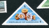 N°0533-1975-MALDIVES-FLORE-CORAUX-PHYLLANGIA-1L